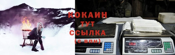 ПСИЛОЦИБИНОВЫЕ ГРИБЫ Балабаново
