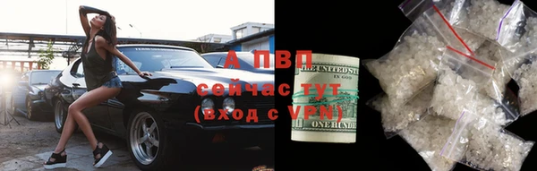 ПСИЛОЦИБИНОВЫЕ ГРИБЫ Балабаново