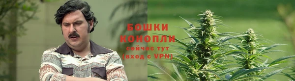 ПСИЛОЦИБИНОВЫЕ ГРИБЫ Балабаново