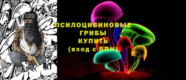 ПСИЛОЦИБИНОВЫЕ ГРИБЫ Балабаново