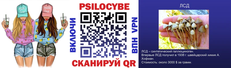 блэк спрут ONION  Гдов  Псилоцибиновые грибы Cubensis  где купить наркоту 